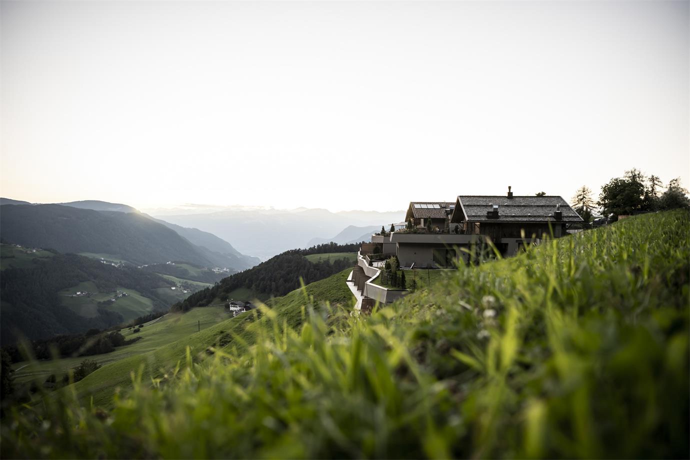 从附近山坡望向民宿场景