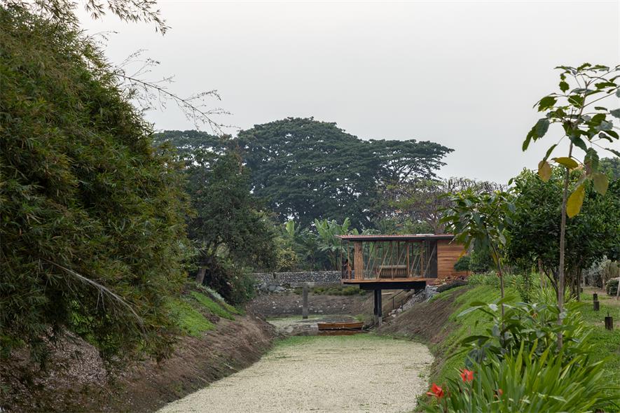 从远处望向茶室的场景